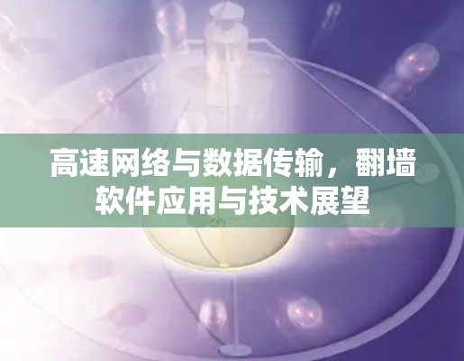 高速网络与数据传输，翻墙软件应用与技术展望