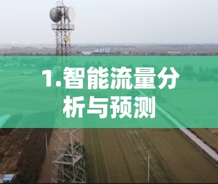 1.智能流量分析与预测