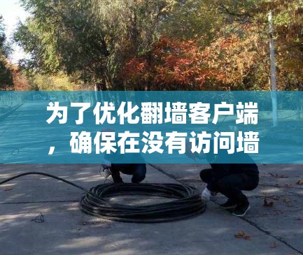 为了优化翻墙客户端，确保在没有访问墙的情况下高效、安全访问网站，可以按照以下步骤进行