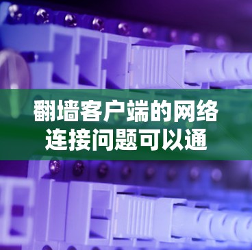 翻墙客户端的网络连接问题可以通过以下步骤进行全面排查和优化