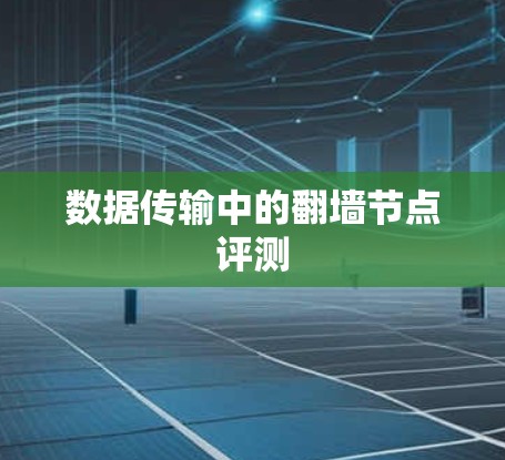 数据传输中的翻墙节点评测
