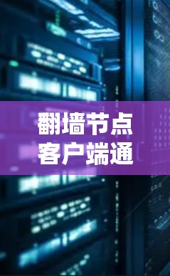 翻墙节点客户端通常指的是一种用于处理互联网翻墙请求的客户端，允许用户在任何设备或网络上进行翻墙操作。翻墙节点客户端是为了保护用户免受网络攻击或限制，提供一个安全的环境进行网络访问