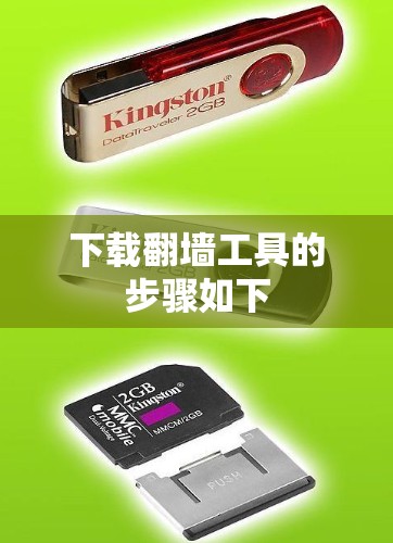下载翻墙工具的步骤如下