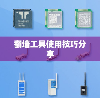 翻墙工具使用技巧分享