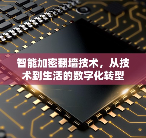 智能加密翻墙技术，从技术到生活的数字化转型