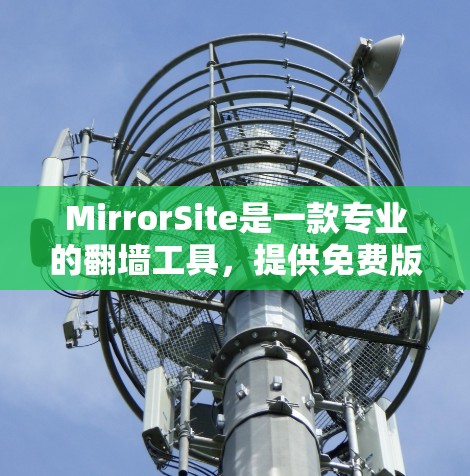 MirrorSite是一款专业的翻墙工具，提供免费版、基本版和专业版等多个版本，适合不同需求的用户。以下是其特点和使用指南