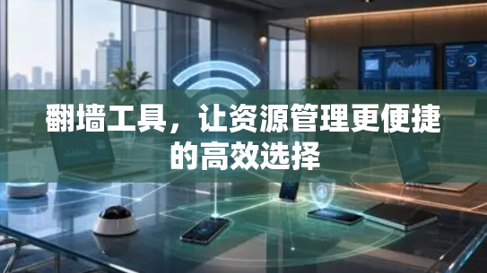 翻墙工具，让资源管理更便捷的高效选择