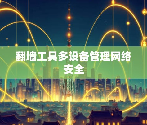 翻墙工具多设备管理网络安全