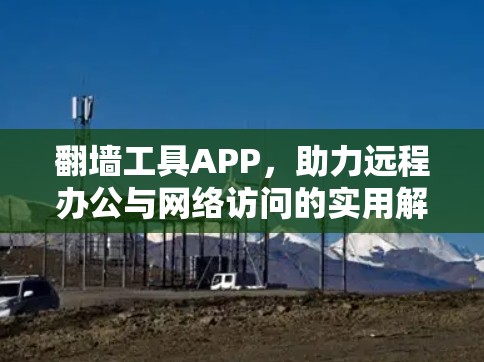 翻墙工具APP，助力远程办公与网络访问的实用解决方案