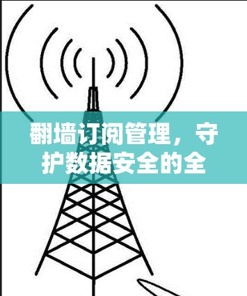 翻墙订阅管理，守护数据安全的全新策略