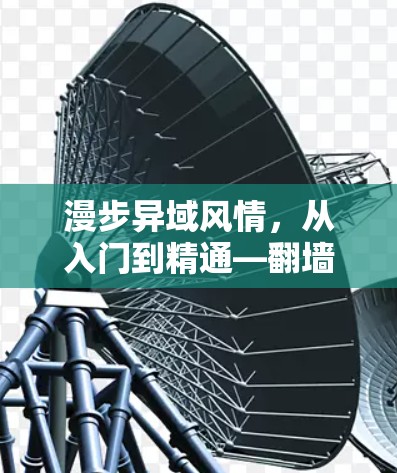 漫步异域风情，从入门到精通—翻墙VPN使用方法