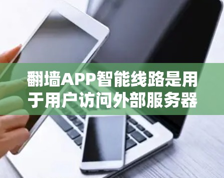翻墙APP智能线路是用于用户访问外部服务器的智能功能，旨在提升用户体验和网络管理效率。以下是对智能线路的详细解释