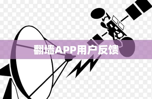 翻墙APP用户反馈